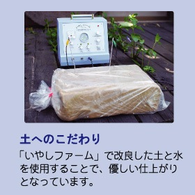 森の舞夢 手作り アロマプレート A 素焼きセット ２枚セット ひのき精油プレゼント ゆうパケット対応 アロマ用品 アロマポット プレート ひのきの森 By Bmd