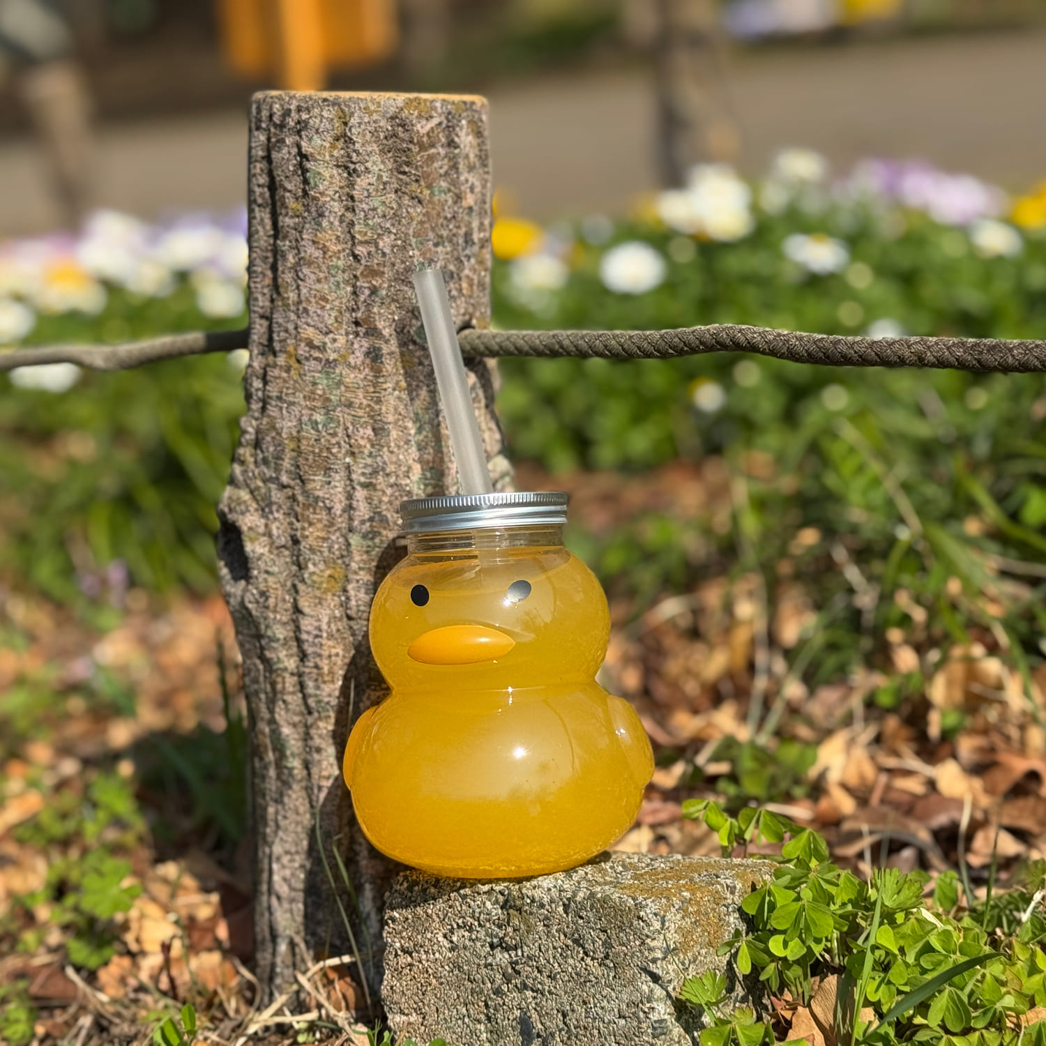 ドリンクボトル 470ml アヒル タピオカストロー/フタ付き 50個