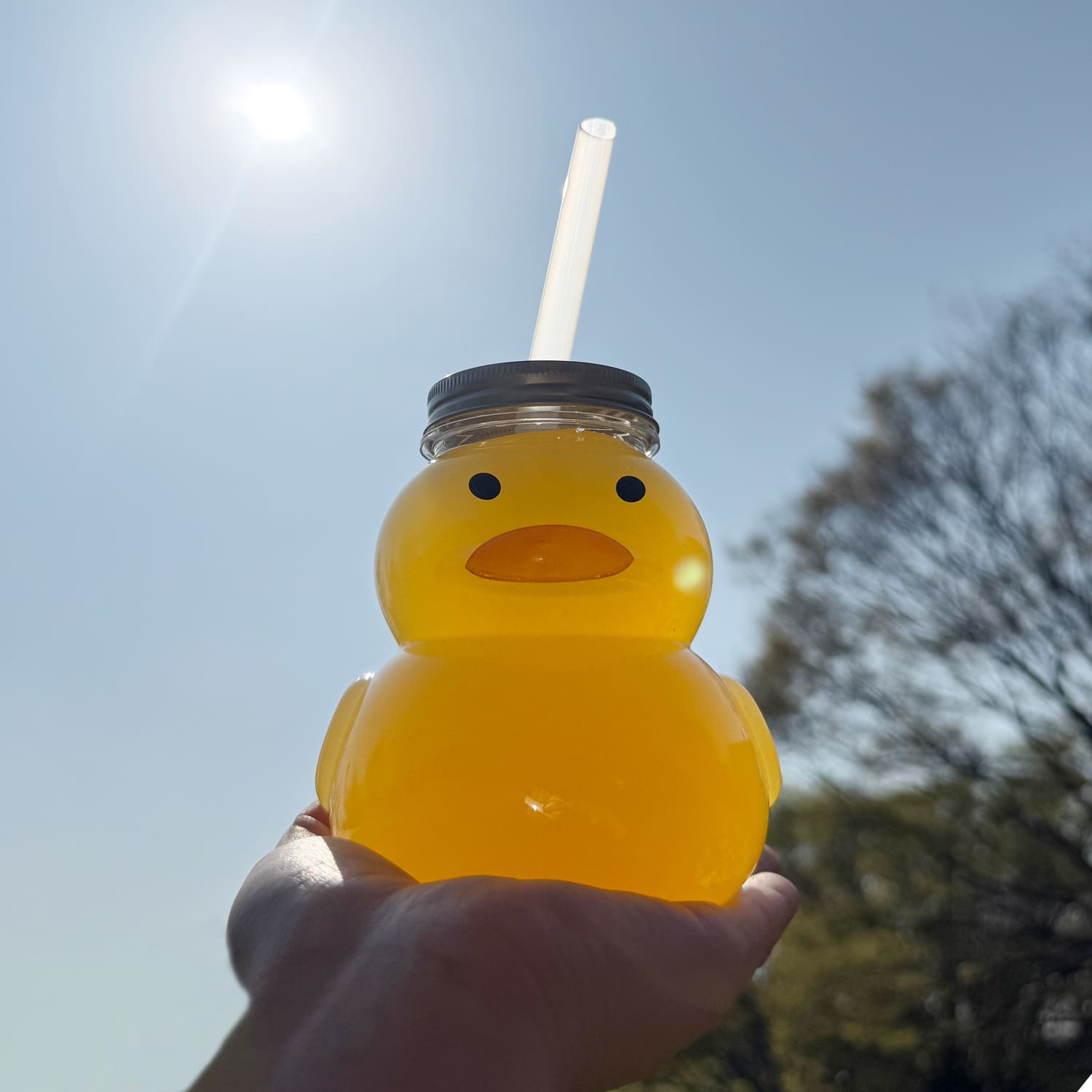 ドリンクボトル 470ml アヒル タピオカストロー/フタ付き 50個