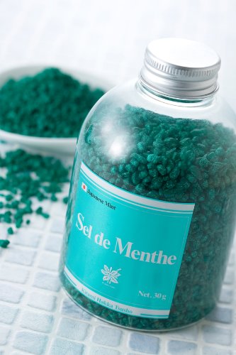 �̸��ϥå��̾� ����ޡ�Sel de Menthe(���롦�ǡ����)���ѥܥȥ�450g �����١ۡڤ���Ϥ�ۡڥ�󥽡����