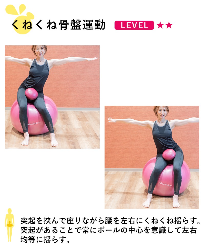 【ウエルネス】インナーマッスル　ダイエット　筋トレ ヴィセーヌボール ウエルネス】インナーマッスル ダイエット 筋トレ ヴィセーヌボール