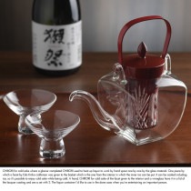 江戸切子 ガラス製ちろり 朱 盃揃い  チロリ 日本製 冷酒 徳利 氷 ポケット 耐熱ガラス ピッチャー 熱燗 ぬる燗 酒好き|日本酒・焼酎用|酒器・お酒