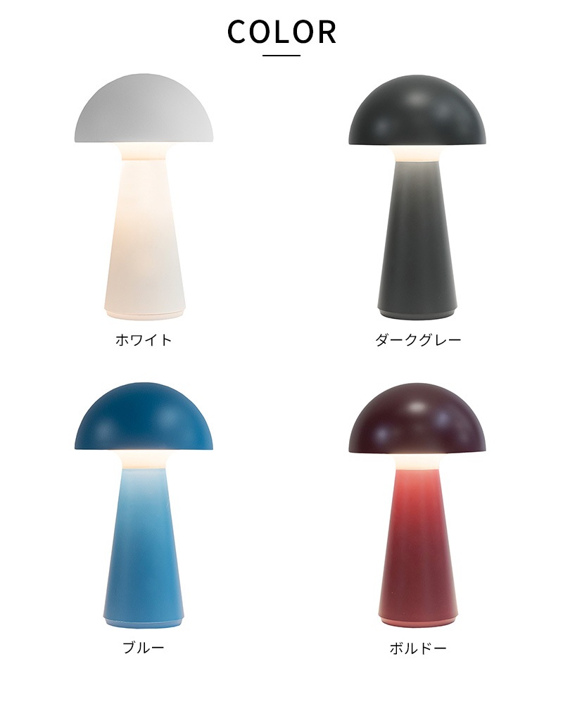 4_000000008300.jpg?1734597433