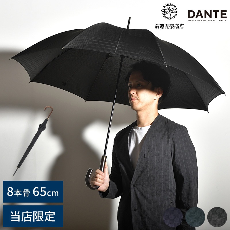前原光榮商店 × DANTE 大人の長傘 8本骨 65cm カーボン骨 モミジ