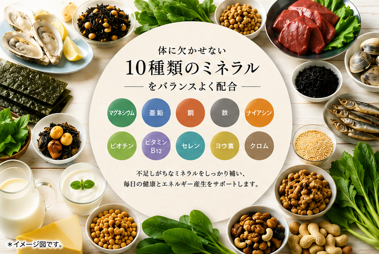 配合設計、量にこだわりぬいたマルチビタミン&ミネラル VITACORE