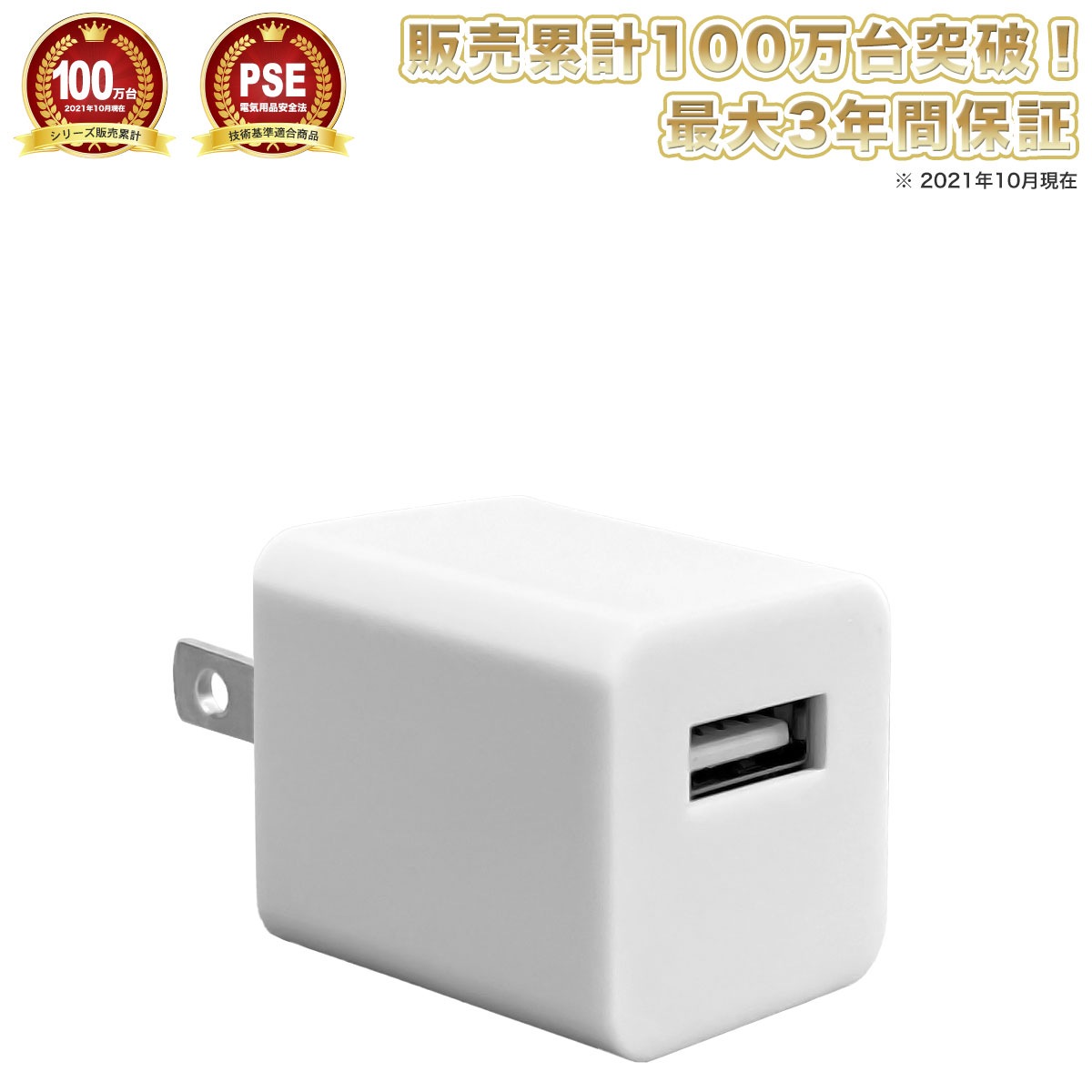 BODYPIXEL ボディピクセル USBアダプター