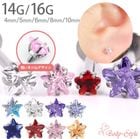 �ܥǥ��ԥ��� 16g 14g ��֥�åȥ����å� �� ������ Ω�� ���奨�� �ȥ饬�� ����ԥ��� �إ�å��� ������ ���������륹�ƥ�쥹 ��Ω�ޥ��奨�륷�꡼���� e05-12s-ms