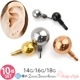 åΤ 10ĥå ܥǥԥ å ѡ ܡ 14G 16G 18G 2mm 3mm 4mm 󥿡ʥ ͥ °륮б  륹ƥ쥹 ˾ ޥ Ż e13-83-10 