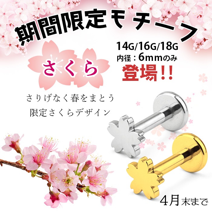 軟骨ピアス 14g 16g 4種類 星 月 ハート 丸 ボディピアス ラブレットピアス ラブレット ピアス ラブレットスタッド 耳たぶ ピアス 軟骨 トラガス ヘリックス ラブレット つけっぱなし 金属アレルギー対応 サージカルステンレス 医療用ステンレス E05 29 ボディピアス