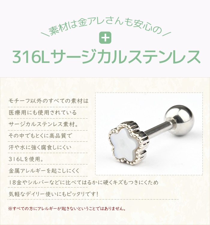 Drag Tasteドラッグテイスト ピアス 収納ブック Drag Tasteドラッグテイスト ピアス 収納ブック｜Yahoo!フリマ