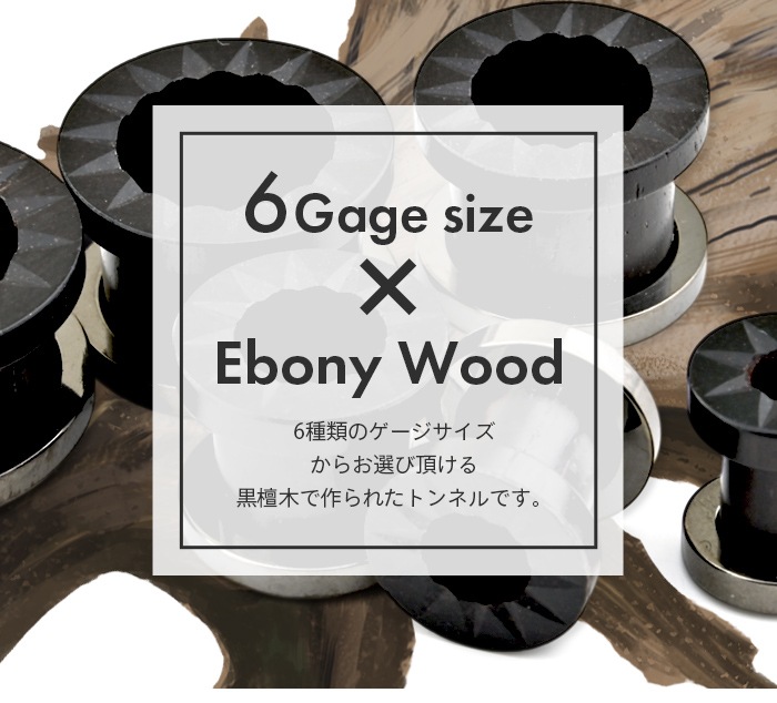   ȥͥ ܥǥԥ 16mm 14mm 12mm 00G 0G 2G ĥ 顼ۡ 顼 䡼  ǥ °륮б ƥ쥹 ꥳ e08-11