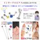 ��Ʊ��/Ʊ������/3�ĥ��åȡ� Ω�� ���奨�� ����å��Τ� �ѡ��� 2mm 3mm 4mm 5mm �ܥǥ��ԥ��� �饦��� �ͳ� �� �ϡ��� �������ޥ��� �ȥå� �ͤ��� ��Ω�ޥ��奨�륷�꡼�������ѥ��奨�륭��å���  e13-ttc-3