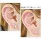 ��Ʊ��/Ʊ�������/3�ĥ��åȡ� ����å��Τ� �ѡ��� 14G 16G  �� �� �ϡ��� �� �Ĥ��äѤʤ� �������ޥ��� ���󥿡��ʥ� �ͤ��� �ܥǥ��ԥ��� ��֥�å� �ԥ��� ������ ��� �ȥ饬�� �إ�å��� �⥢���б� ���������륹�ƥ�쥹 e13-34-3