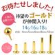 ����ե� �ѡ��� 14g 16g 18g 4mm 5mm 6mm 8mm 10mm �� �ȥ饬�� ����ԥ��� �ܥǥ��ԥ��� ���󥿡��ʥ� ���� ��֥�åȥ����å� ��֥�åȥԥ�������Ź���ꥸ�ʥ� ���󥿡��ʥ����� ����եȡ� e13-01