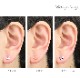 ��ξ�����åȡۿ�������å� ����ˤ��� �ԥ��� ĳ �Х��ե饤 20g ������ ���������륹�ƥ�쥹 ��°����륮���б� ���ȥ졼�ȥС��٥� e03-112
