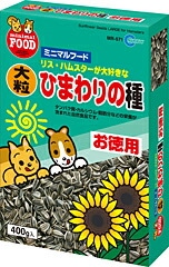 ����ú�Ǿý���ŷ���ý� �ȥ��캽 7L