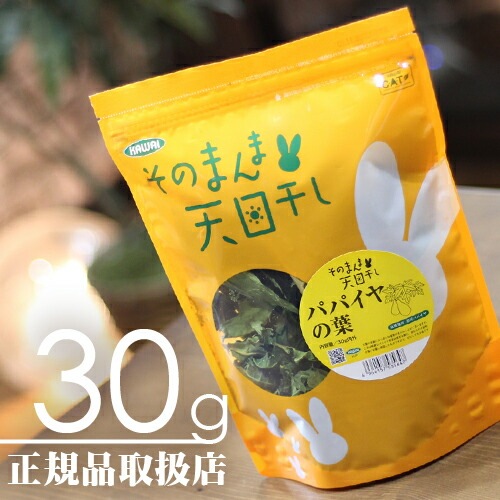 ���Τޤ��ŷ������ �ѥѥ������  30g��F2��