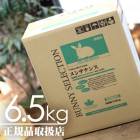 轵٤ο߸ˡۥХˡ쥯 ƥʥ 6.5kg