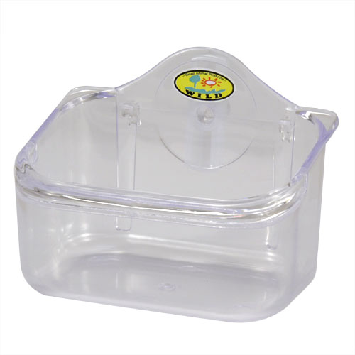 �����ʥ��󥳡��� ������������ʣ͡� ���ꥢ