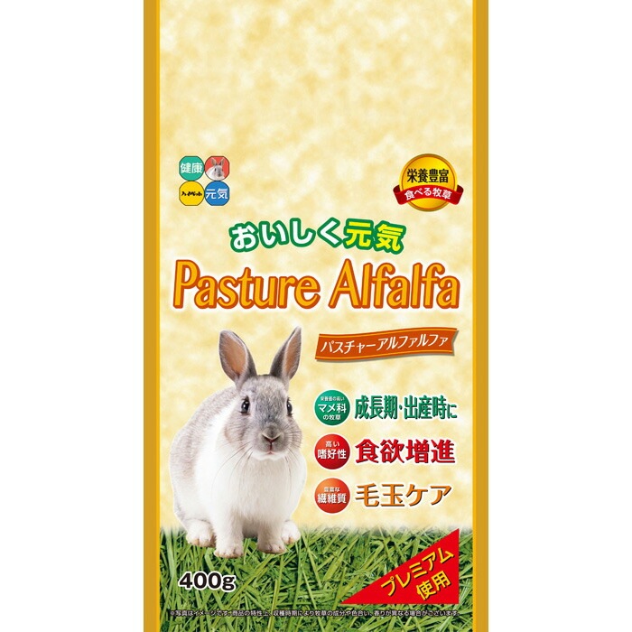 �ѥ����㡼����ե���ե�400g��F2��