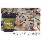 ��ǥ��ޥ� Dr.Pure�ʡ����󥰥ϡ��֡ʥɥ������ԥ奢���餸���������󤻤󤽤��� 