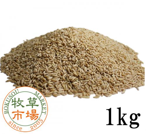 ����Ծ� ������ �ʳ̤ʤ��� 1kg
