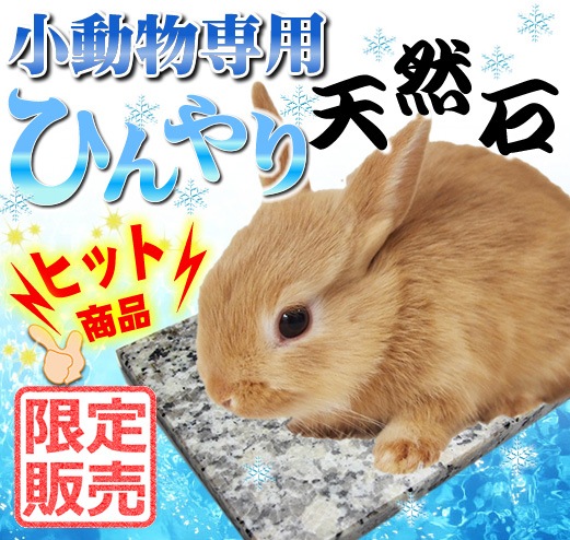 暑さ対策 New 小動物専用ひんやり天然石プレート トップ うさぎ用品市場 うさぎに必要なものがすべてそろう店