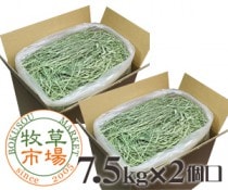 6ǯٻԾ ѡץߥ⥷1ִ 15kg 7.5kg2ĸ