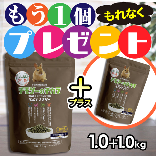 ڴָꥹڥ륭ڡۡ1ĤǤ⤦1ĥץ쥼ȡԾ ⥷Υ ƥե꡼ 1kg