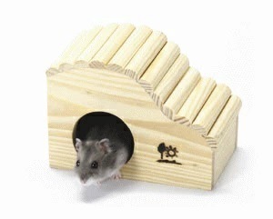 ��ưʪ�� �����ϥ��� �������֥ϥ���S