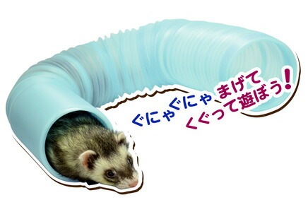 ����Х�ȥ�ͥ� 10