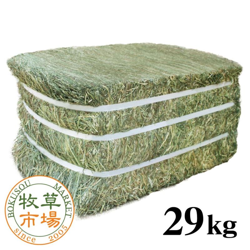 ����Ծ� US���⥷��2�ִ���������ץ�ߥ�������� ���֥�ץ쥹 ��29kg�ڥ١������� ��̳�ѡۡ�sg��