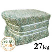 ����Ծ� �Хߥ塼���إ� �������ץ�ߥ������27kg �ڥ١������� ��̳�ѡۡ�sg��