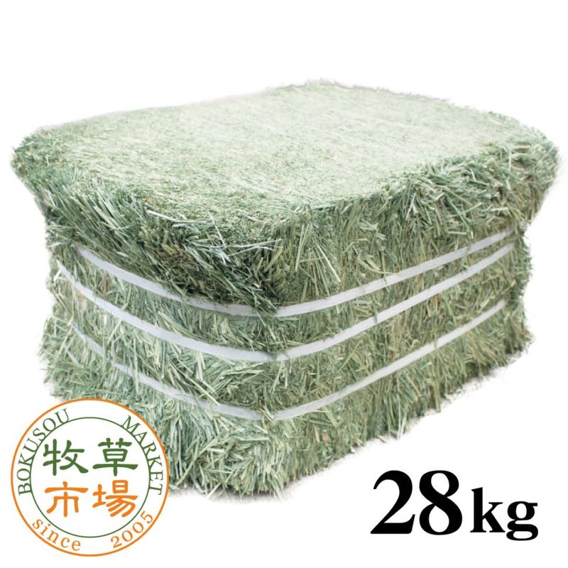 ����Ծ� �������å����� ���쥤�󥰥饹�������ץ�ߥ���� ��28kg �ڥ١������� ��̳�ѡۡ�sg��