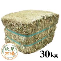 ����Ծ� �������ȥإ� ��30kg�������ץ�ߥ���ˡڥ١������� ��̳�ѡۡ�sg��