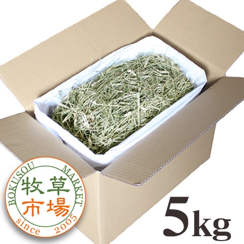 ����Ծ� �գӥ��⥷��2�ִ���������ץ�ߥ���˥ץ�ߥ���������֥�ץ쥹5kg����
