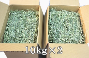6ǯٻԾ ѡץߥ⥷1ִ 10kg2ĸ