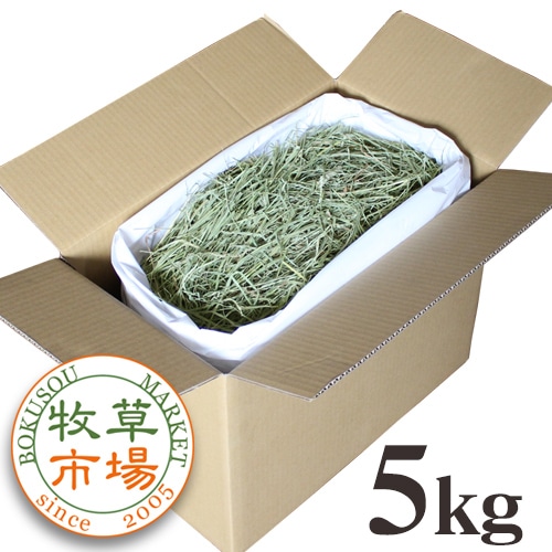 ����Ծ� US���⥷��2�ִ���������ץ�ߥ�������𥽥եȥ�����5kg����