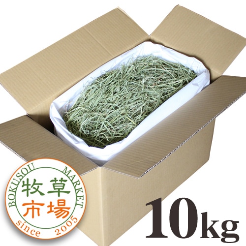����Ծ� US���⥷��2�ִ���������ץ�ߥ�������𥽥եȥ�����10kg����