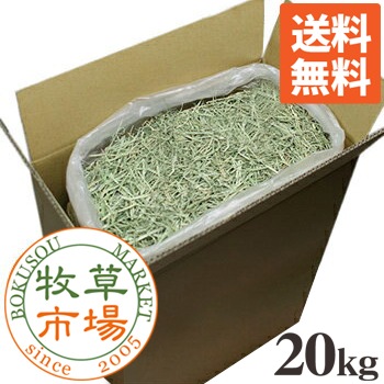 ����Ծ� �������å����𥯥쥤�󥰥饹 �������ץ�ߥ����20kg������sg��