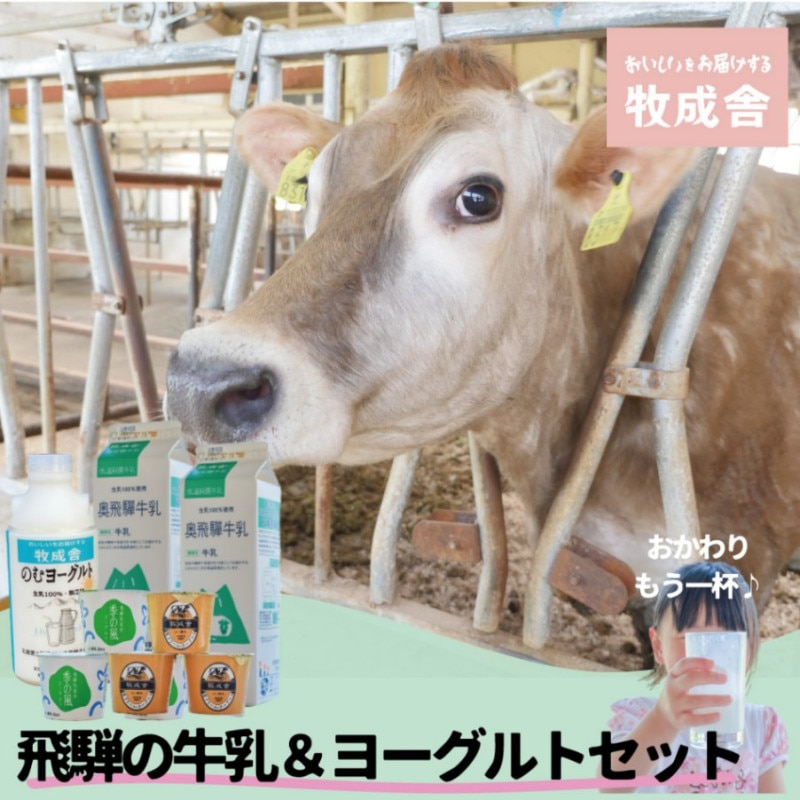 衼ȥå