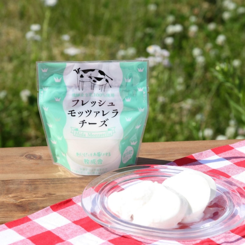 �ե�å����åĥ���������