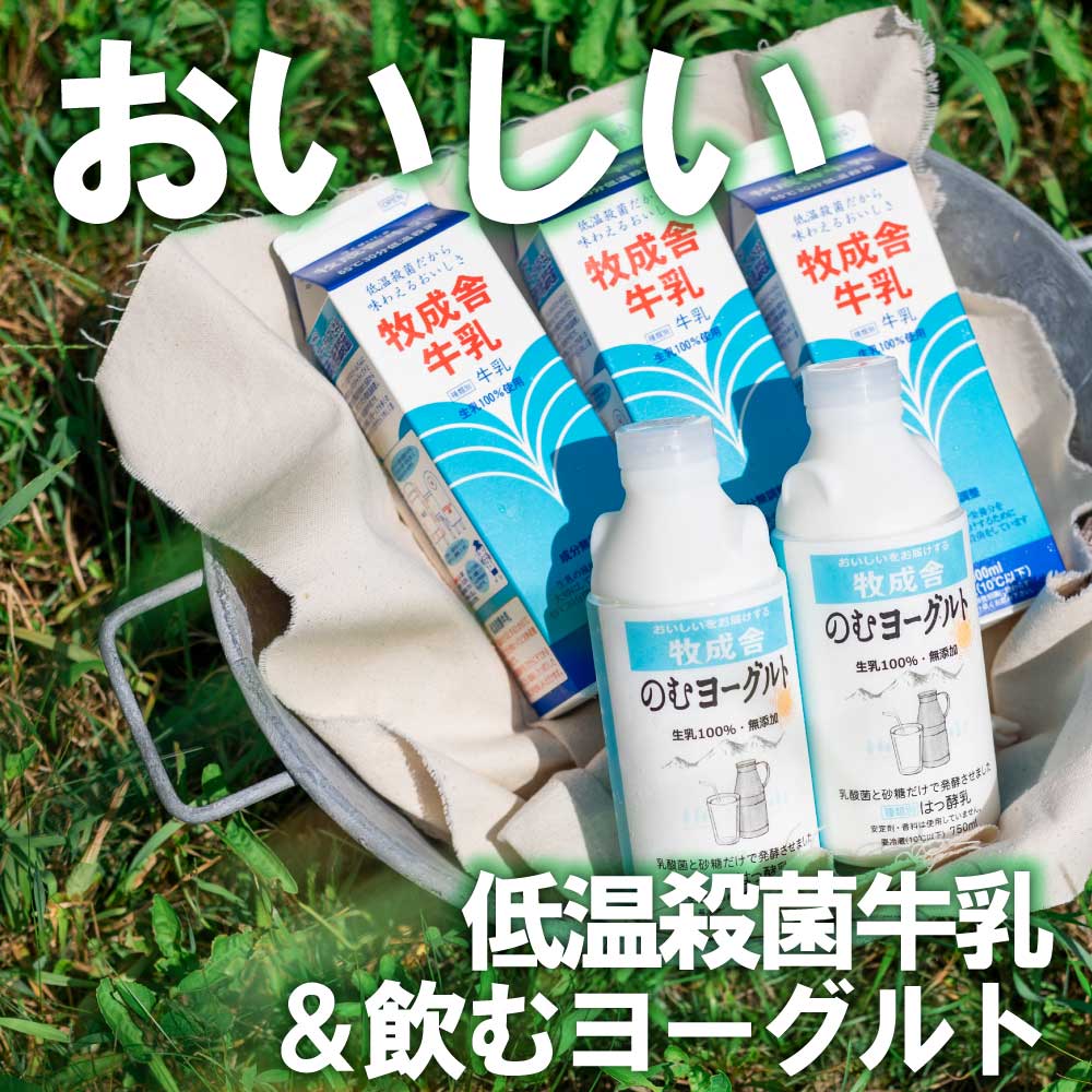 ˸㲹ݵ100ml3ܡ衼ȣܡۥäȡޥäȡˤ100ɥ