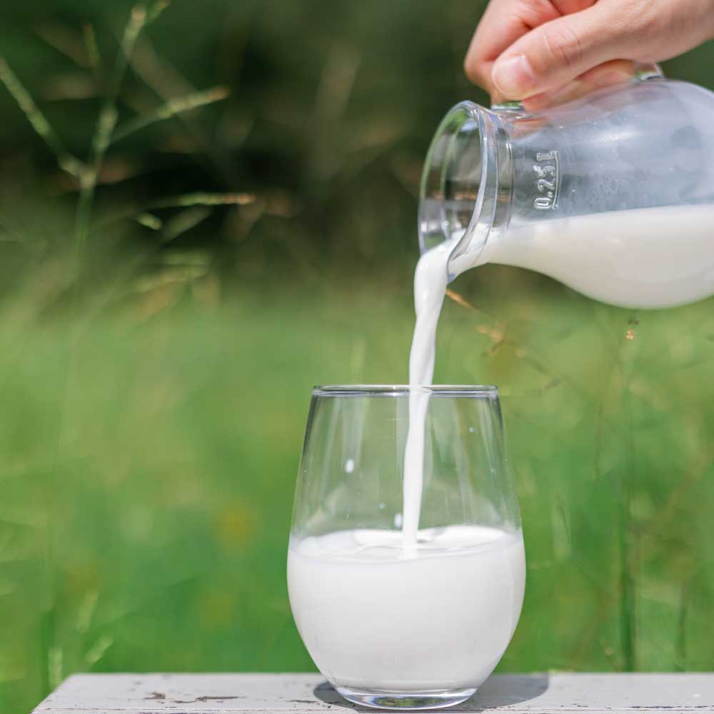 ˸㲹ݵ100ml3ܡ衼ȣܡۥäȡޥäȡˤ100ɥ