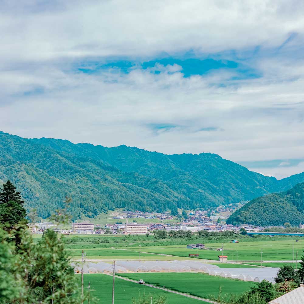 ˸㲹ݵ100ml3ܡ衼ȣܡۥäȡޥäȡˤ100ɥ