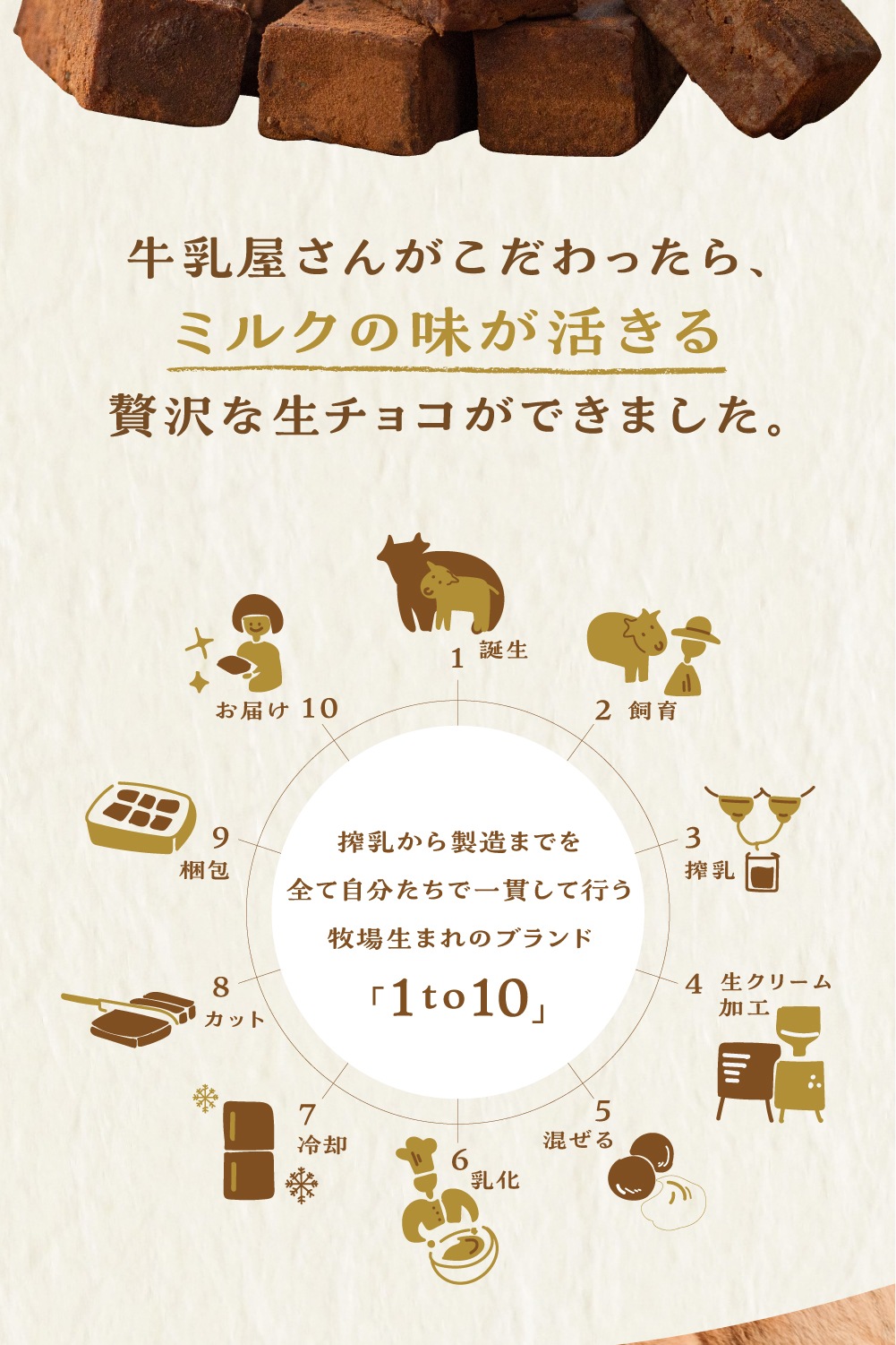 ���������꡼���ꤿ�������祳12γ