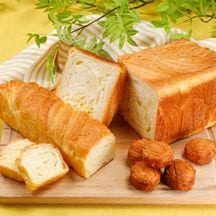 ボローニャ はじめてセット