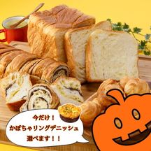 ボローニャ はじめてセット