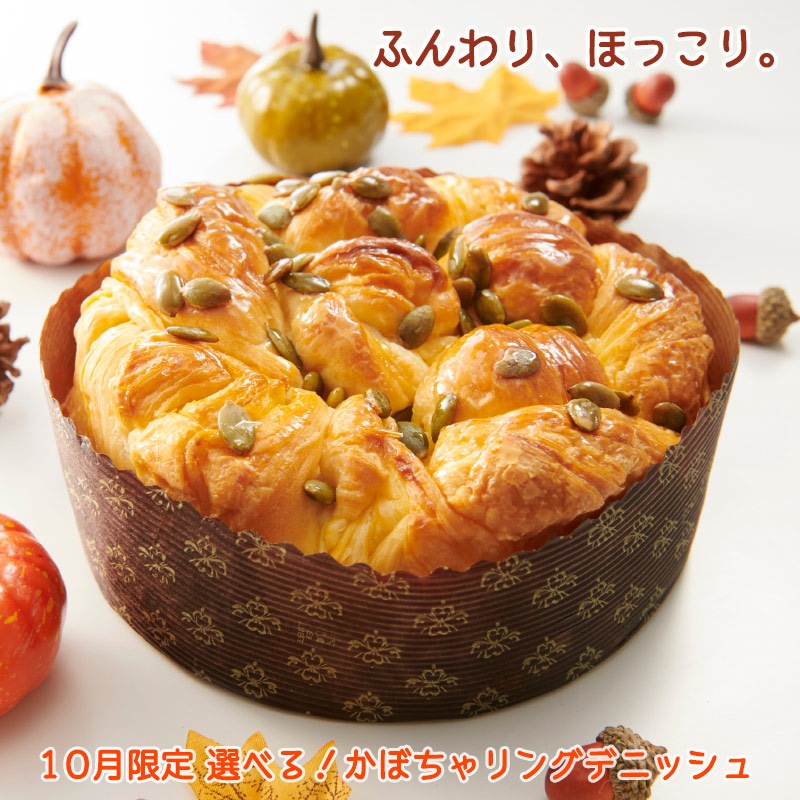 ボローニャ はじめてセットの通販 【ボローニャ オンラインストア】