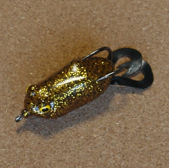 A��M��G��RF21:�ѥ�ץ���/�֥�å����������